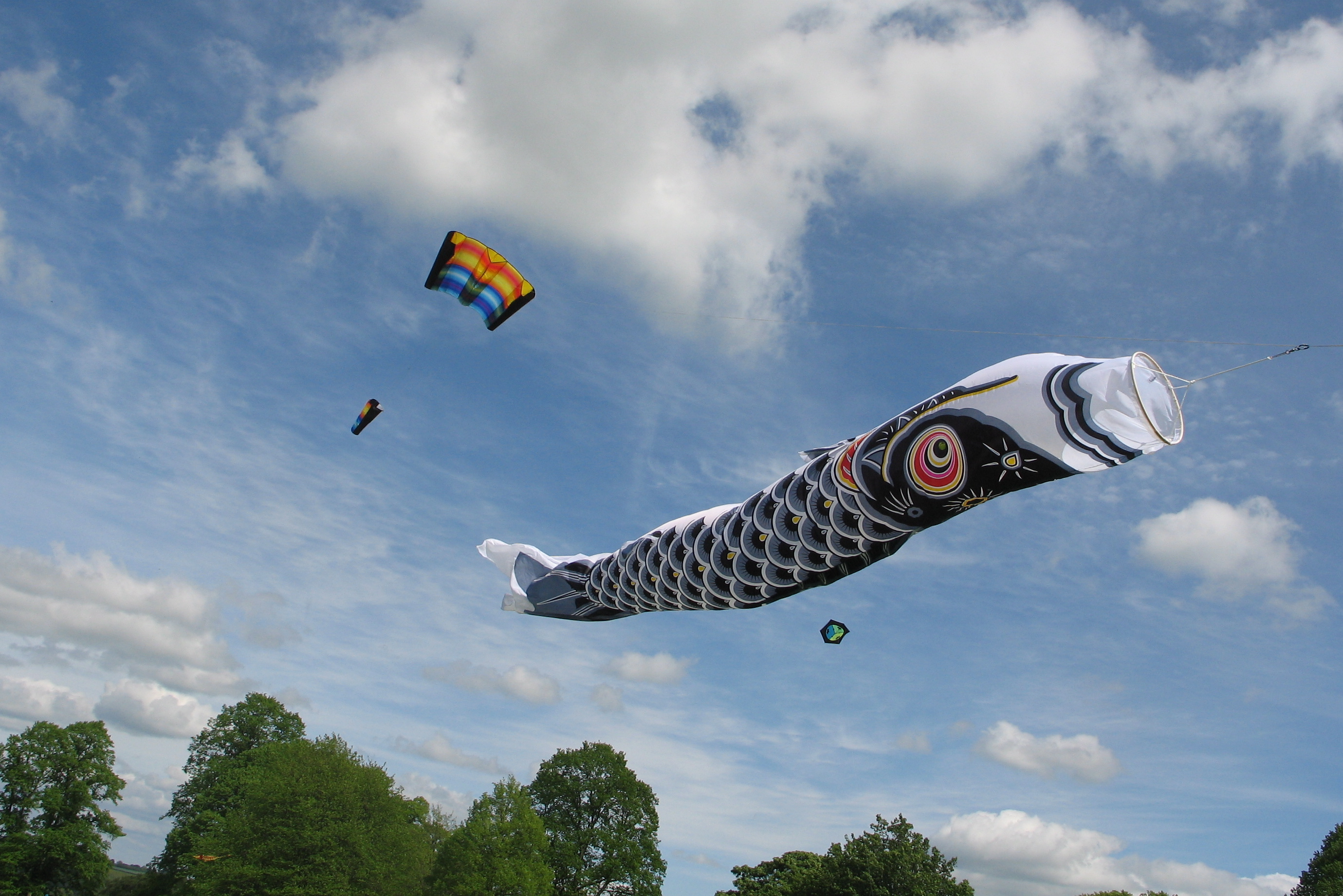 Koi Carp windsock 